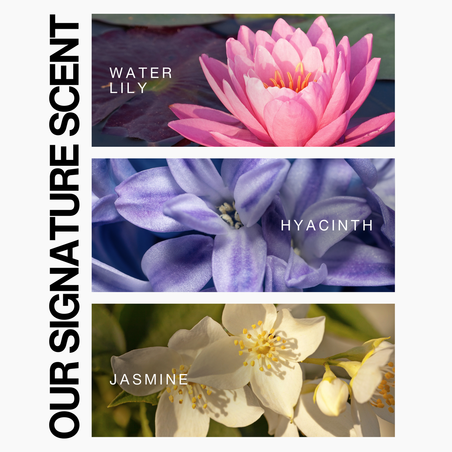 Replenishing Conditioner - 35oz