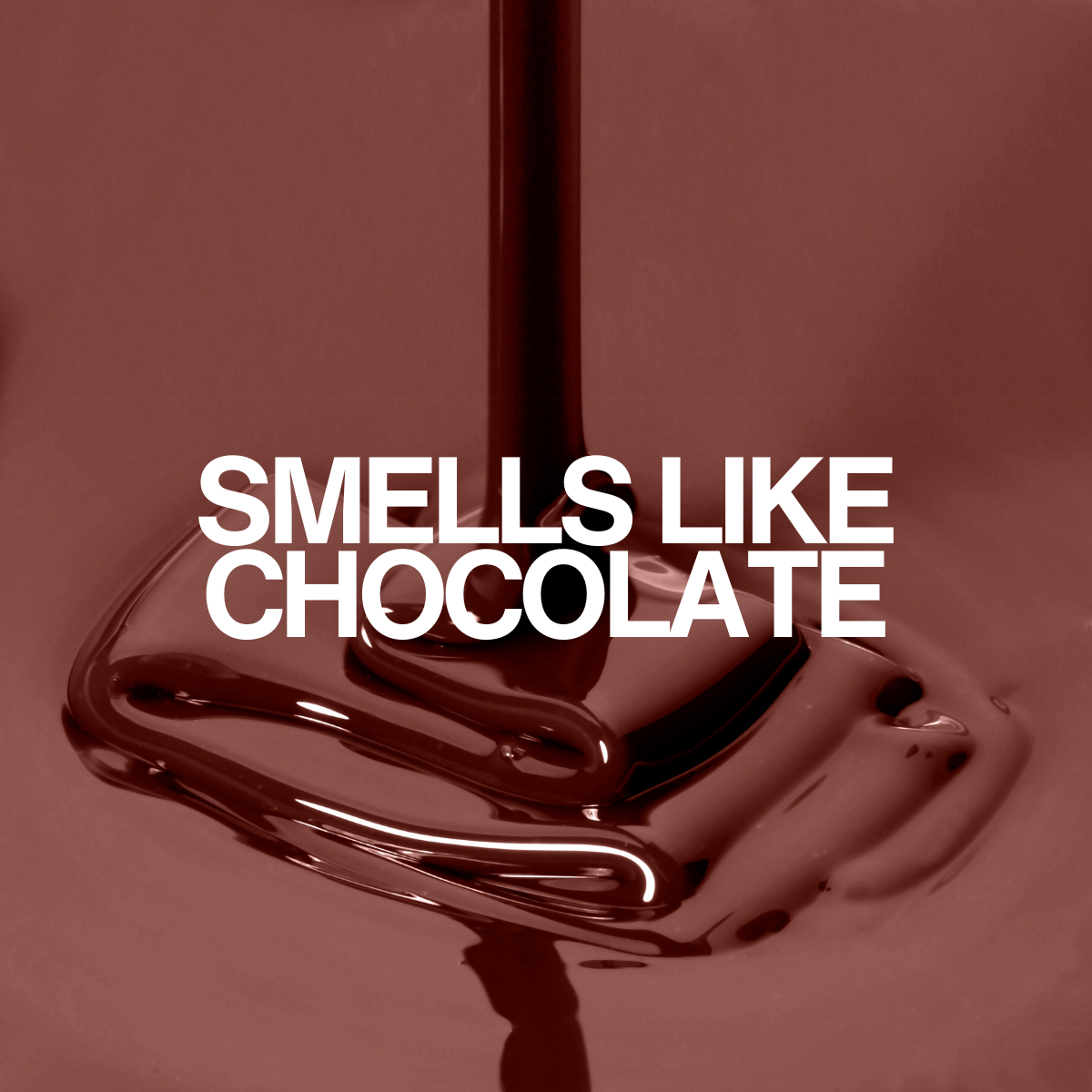 Chocolate Silk Bundle | 2× Mocha Silk + Free Spray Bottle | Smooth, Strengthen & Eliminate Frizz